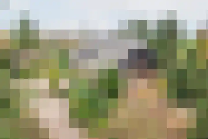 Neerveldseweg 1 A Netterden thumbnail 5