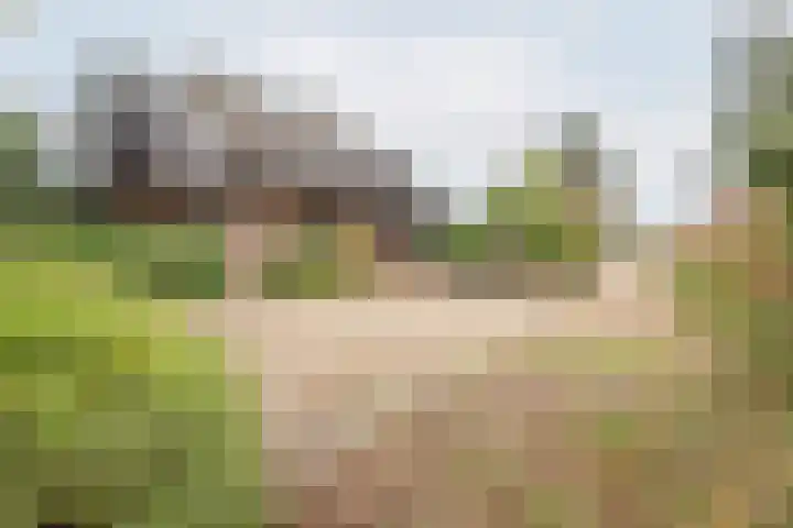 Neerveldseweg 1 A Netterden thumbnail 59