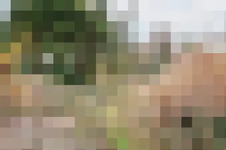 Neerveldseweg 1 A Netterden thumbnail 66