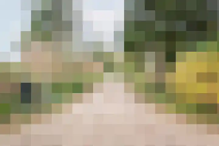 Neerveldseweg 1 A Netterden thumbnail 67