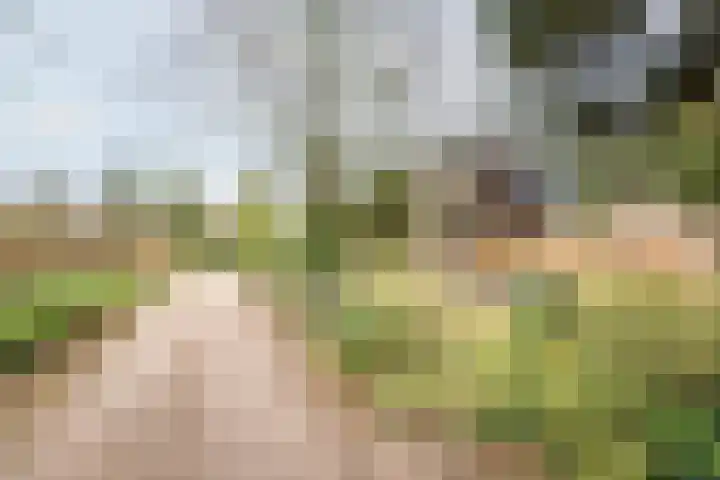 Neerveldseweg 1 A Netterden thumbnail 68