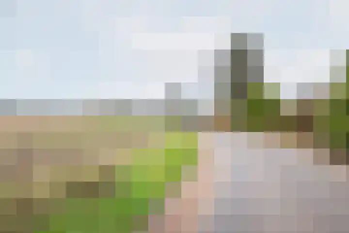 Neerveldseweg 1 A Netterden thumbnail 69