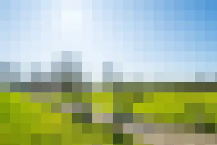 Neerveldseweg 2 Netterden thumbnail 11