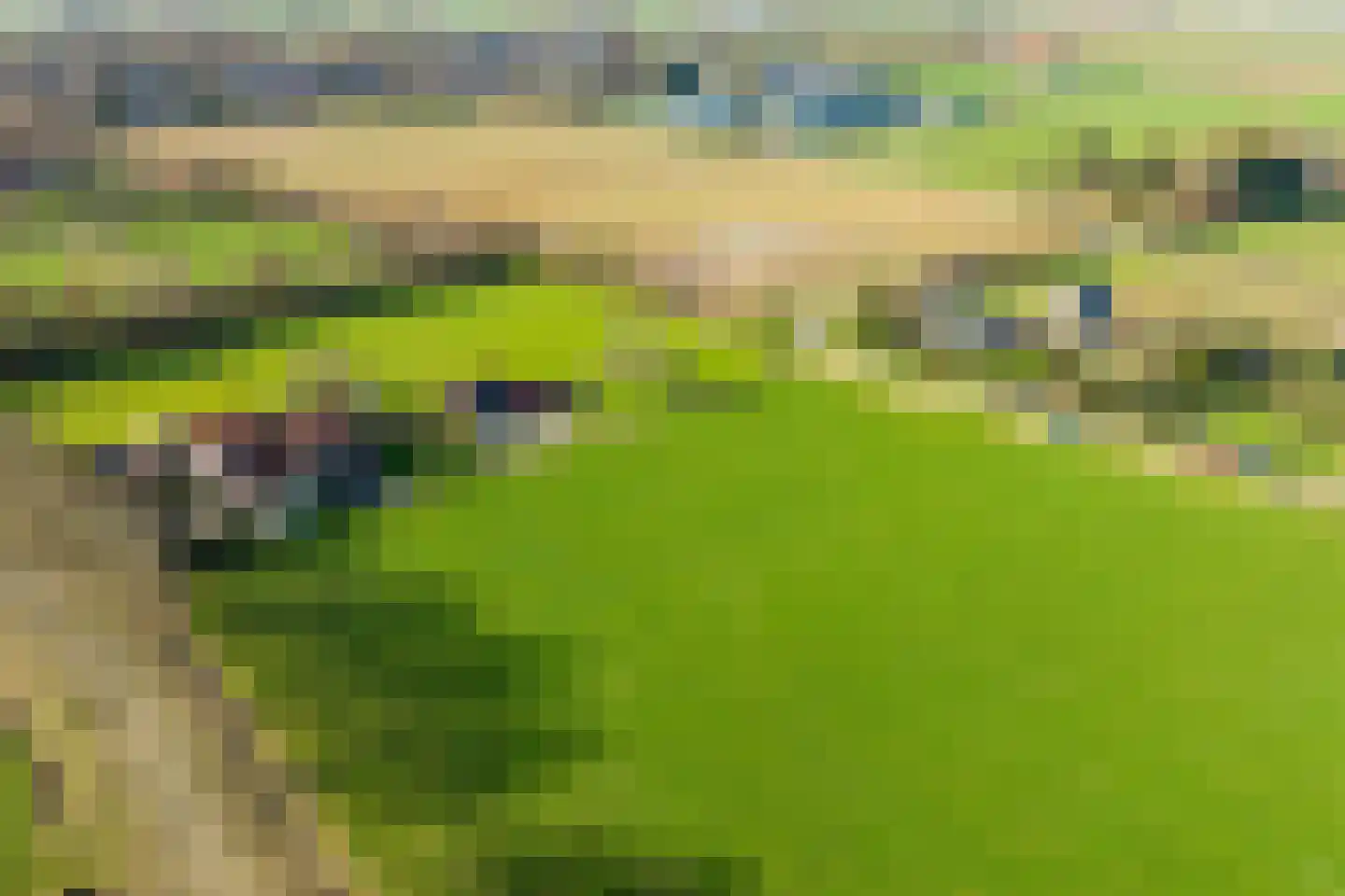 Neerveldseweg 2 Netterden thumbnail 4