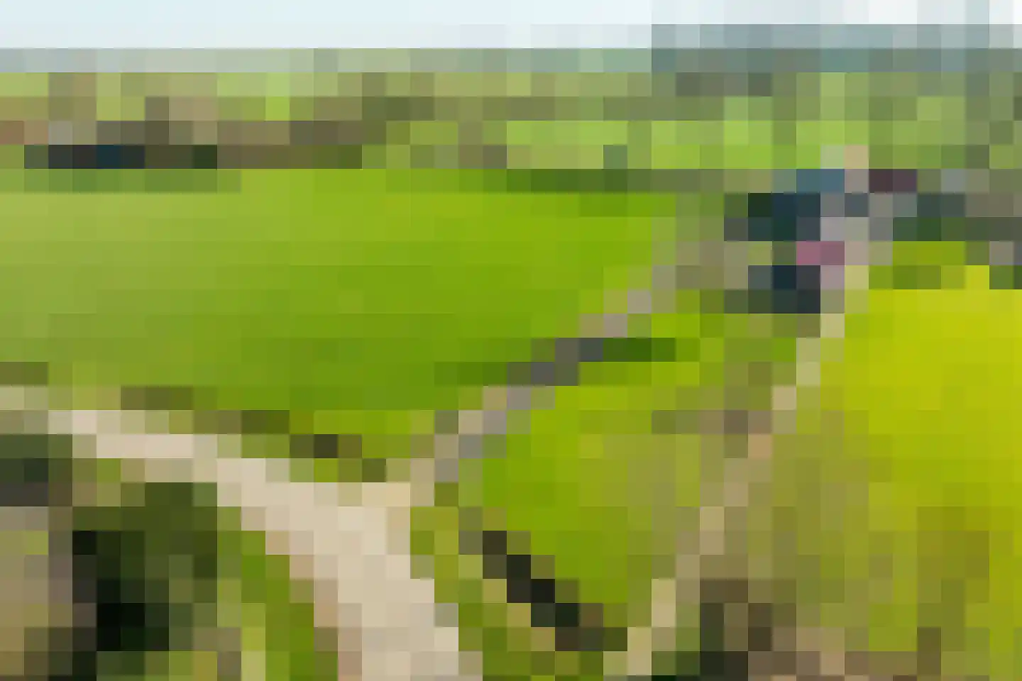 Neerveldseweg 2 Netterden thumbnail 7