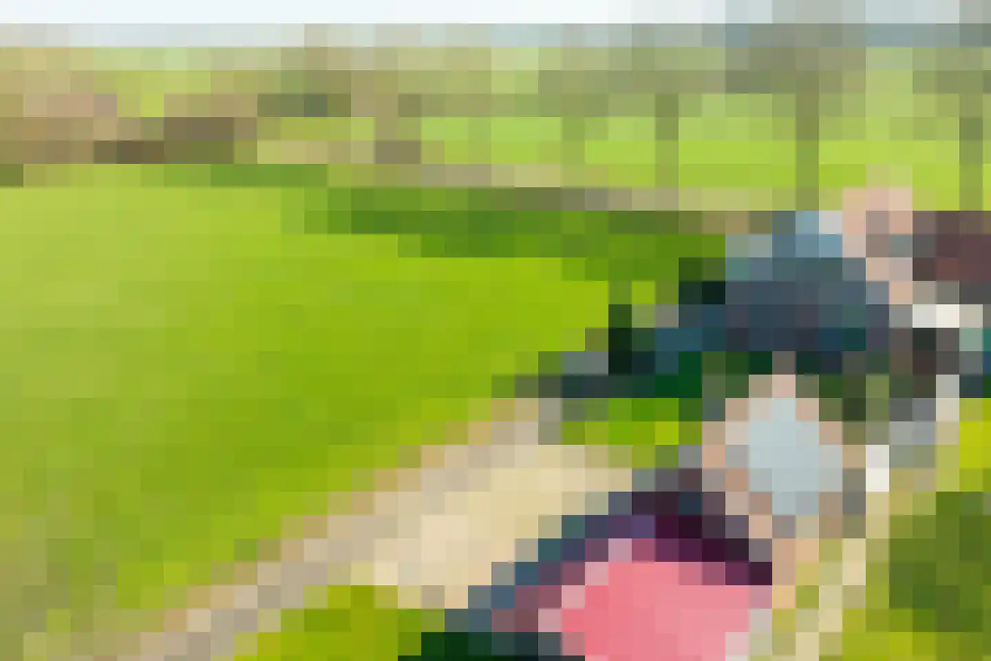 Neerveldseweg 2 Netterden thumbnail 8
