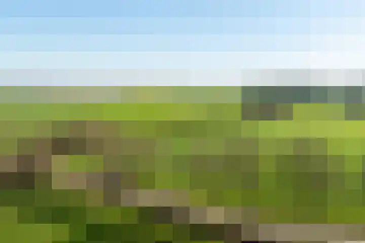 Neerveldseweg 2 Netterden thumbnail 9