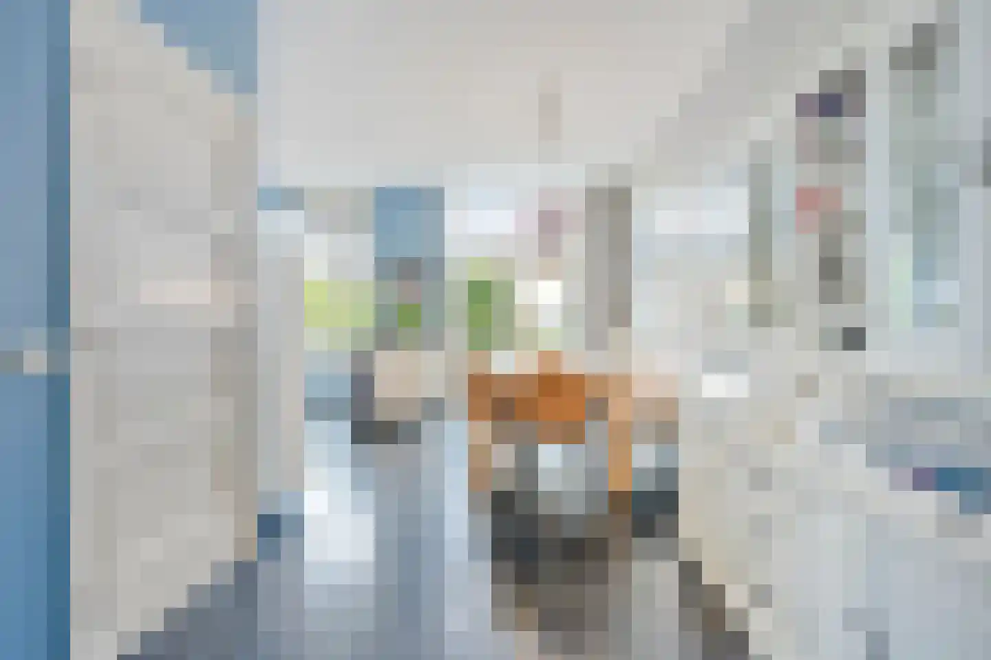 Neerwal 136 Helmond thumbnail 13