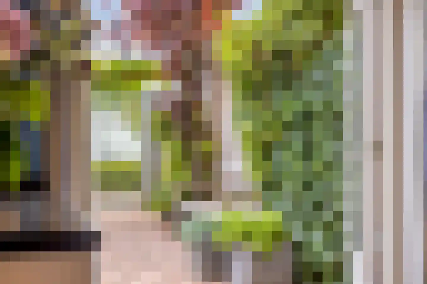 Neerwal 136 Helmond thumbnail 15