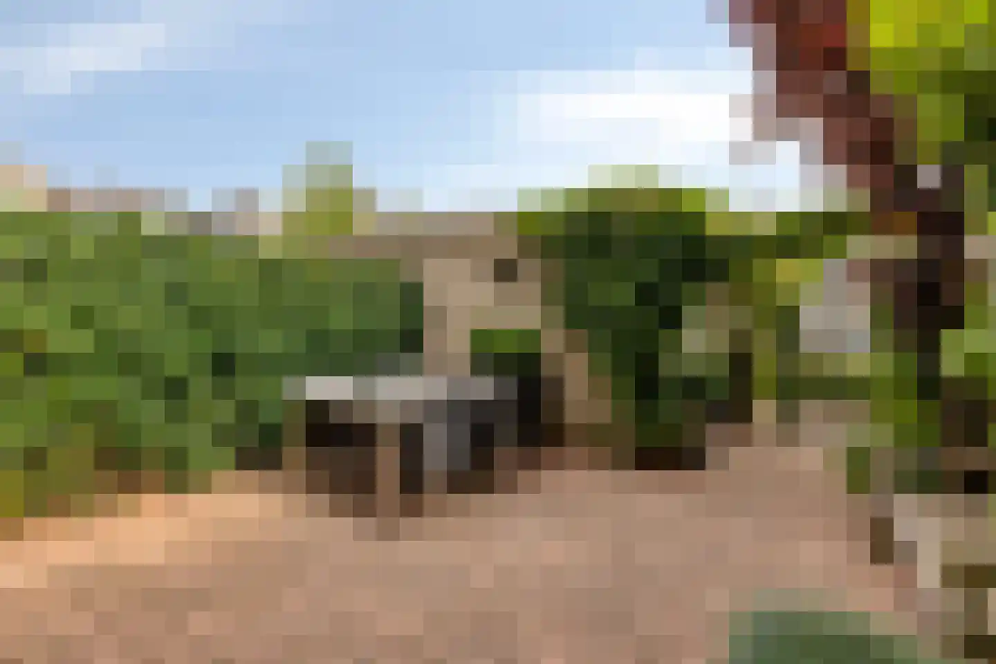 Neerwal 136 Helmond thumbnail 21
