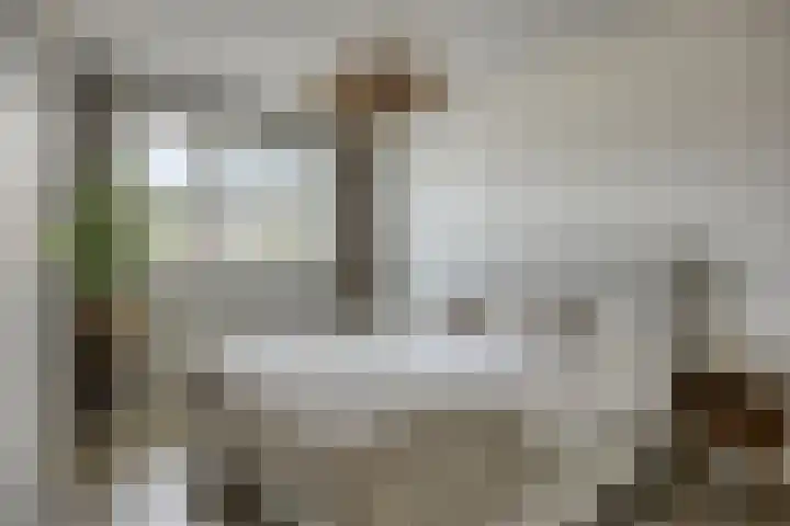 Neerwal 164 Helmond thumbnail 11