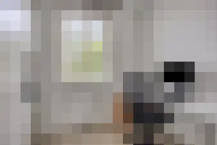 Neerwal 164 Helmond thumbnail 18