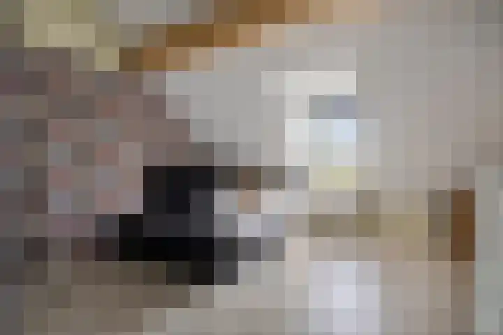 Neerwal 164 Helmond thumbnail 22