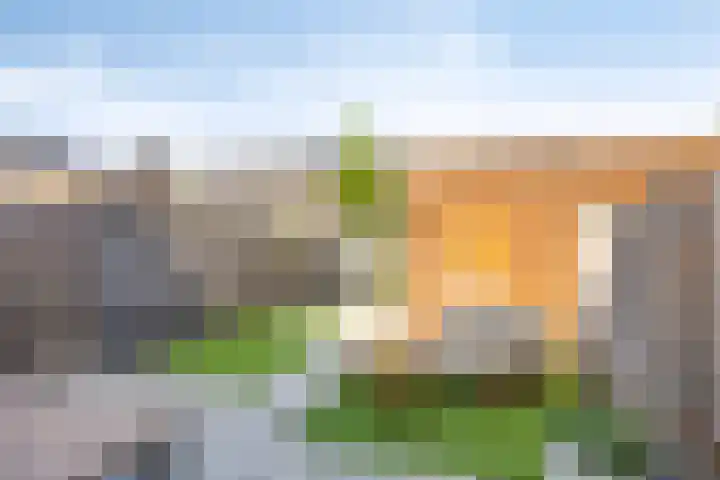 Neerwal 164 Helmond thumbnail 23