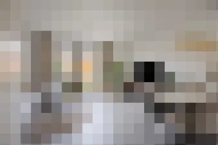 Neerwal 164 Helmond foto 3