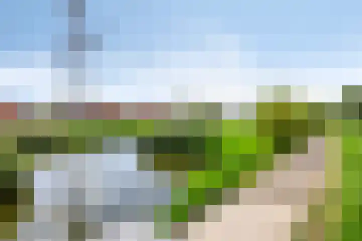 Neerwal 164 Helmond thumbnail 31