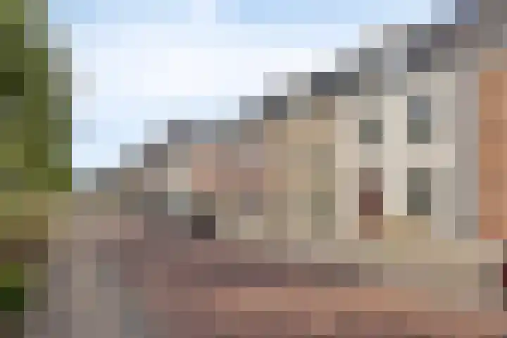 Neerwal 164 Helmond thumbnail 34