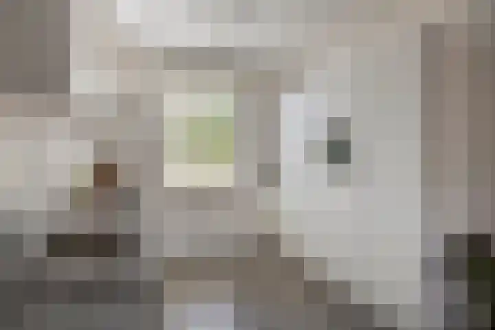 Neerwal 164 Helmond thumbnail 8