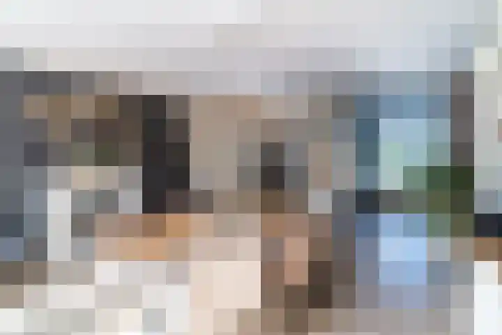 Neerwal 20 Helmond thumbnail 11