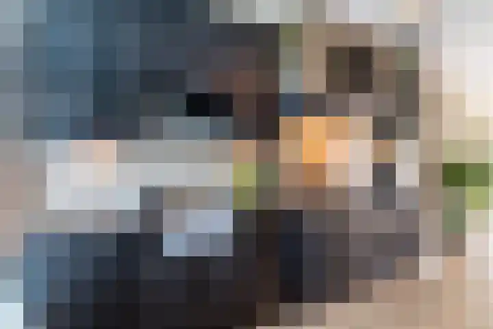 Neerwal 20 Helmond thumbnail 13