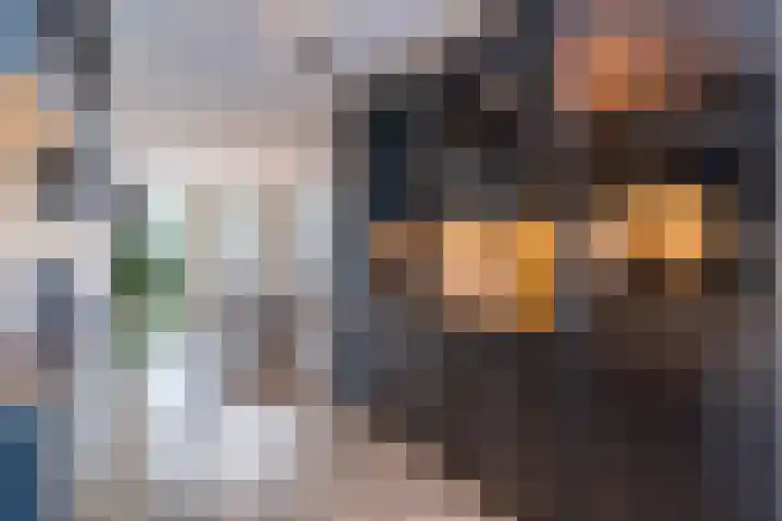 Neerwal 20 Helmond thumbnail 14