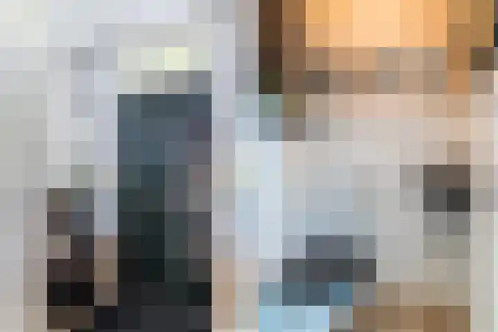 Neerwal 20 Helmond thumbnail 15