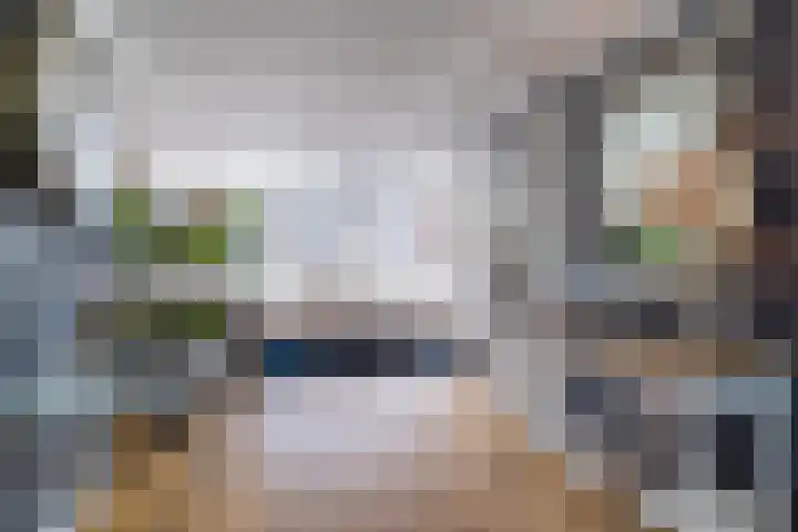 Neerwal 20 Helmond thumbnail 17
