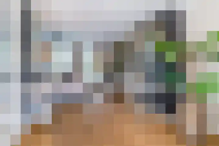 Neerwal 20 Helmond thumbnail 22