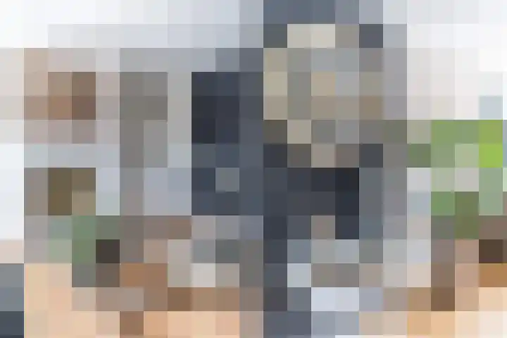 Neerwal 20 Helmond thumbnail 23