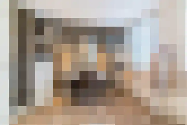 Neerwal 20 Helmond thumbnail 33