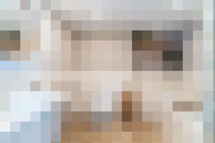 Neerwal 20 Helmond thumbnail 36