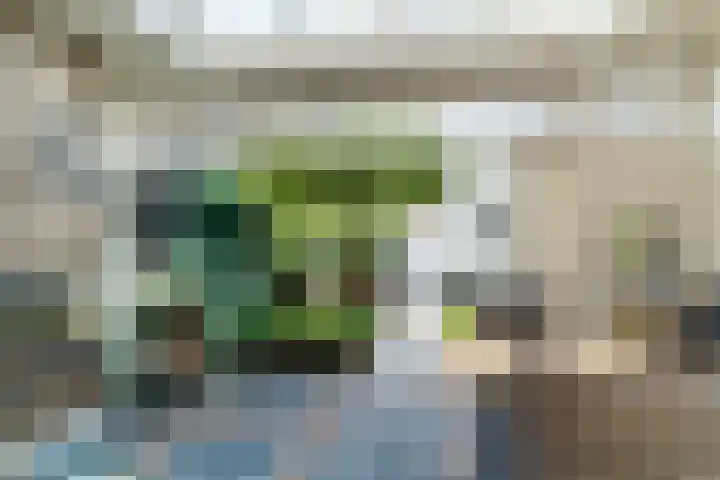 Neerwal 20 Helmond thumbnail 4