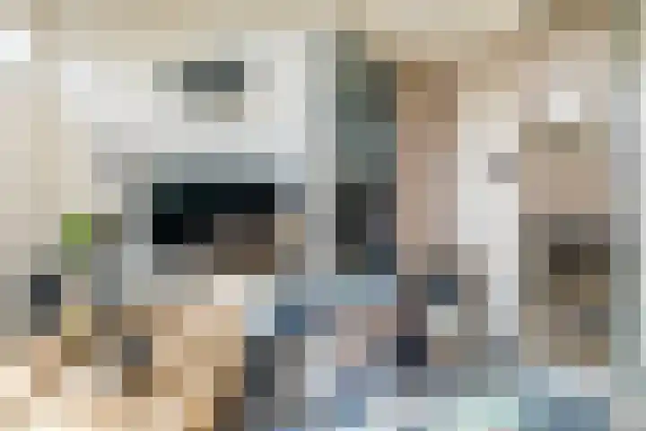 Neerwal 20 Helmond thumbnail 55