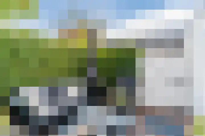Neerwal 20 Helmond thumbnail 58