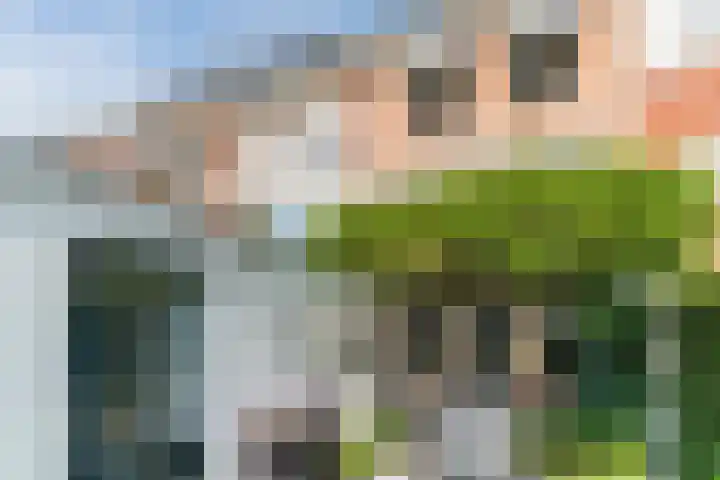 Neerwal 20 Helmond thumbnail 61