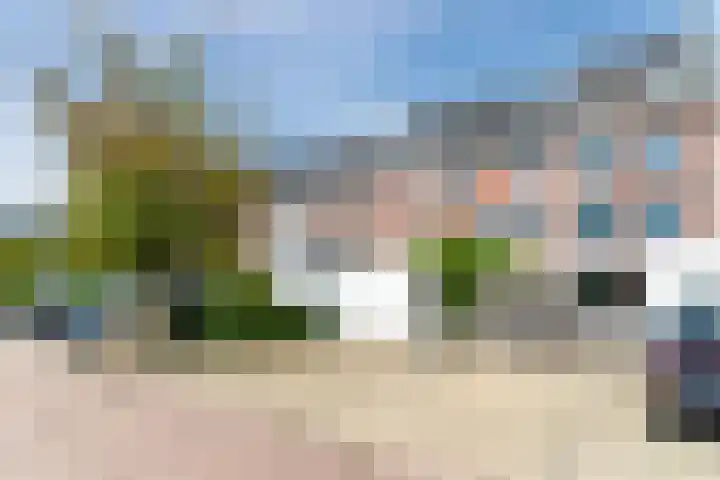 Neerwal 20 Helmond thumbnail 62