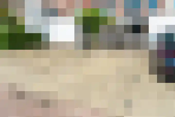 Neerwal 20 Helmond thumbnail 63