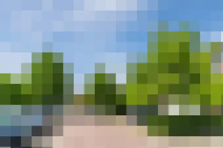 Neerwal 20 Helmond thumbnail 66
