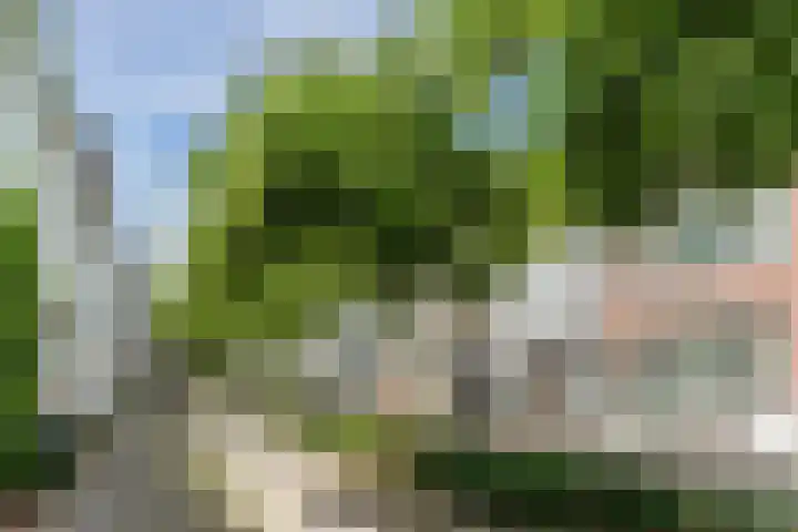 Neerwal 20 Helmond thumbnail 76