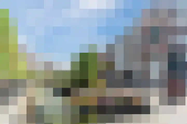 Neerwal 20 Helmond thumbnail 80