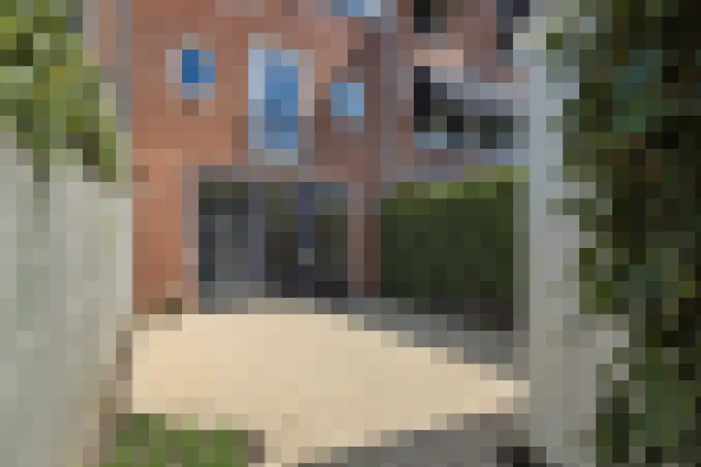 Neerwal 22 Helmond thumbnail 15