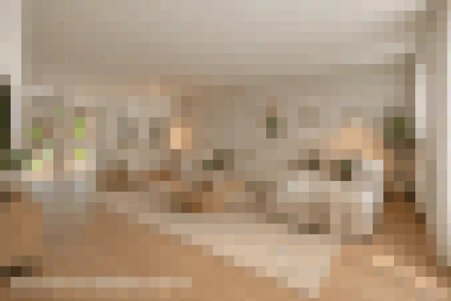 Neerwal 22 Helmond thumbnail 22