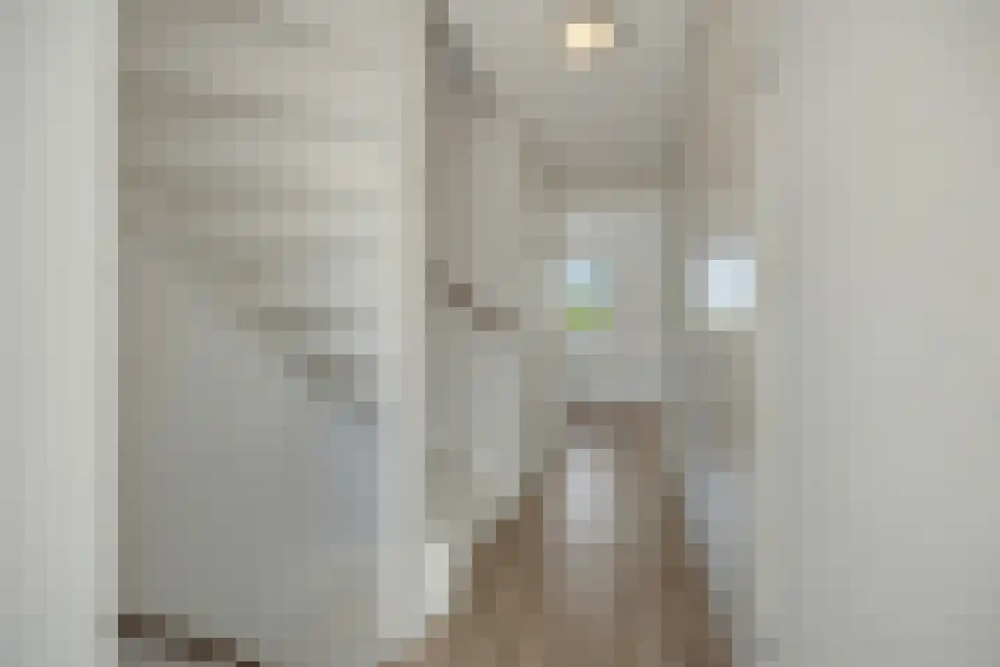Neerwal 22 Helmond thumbnail 25
