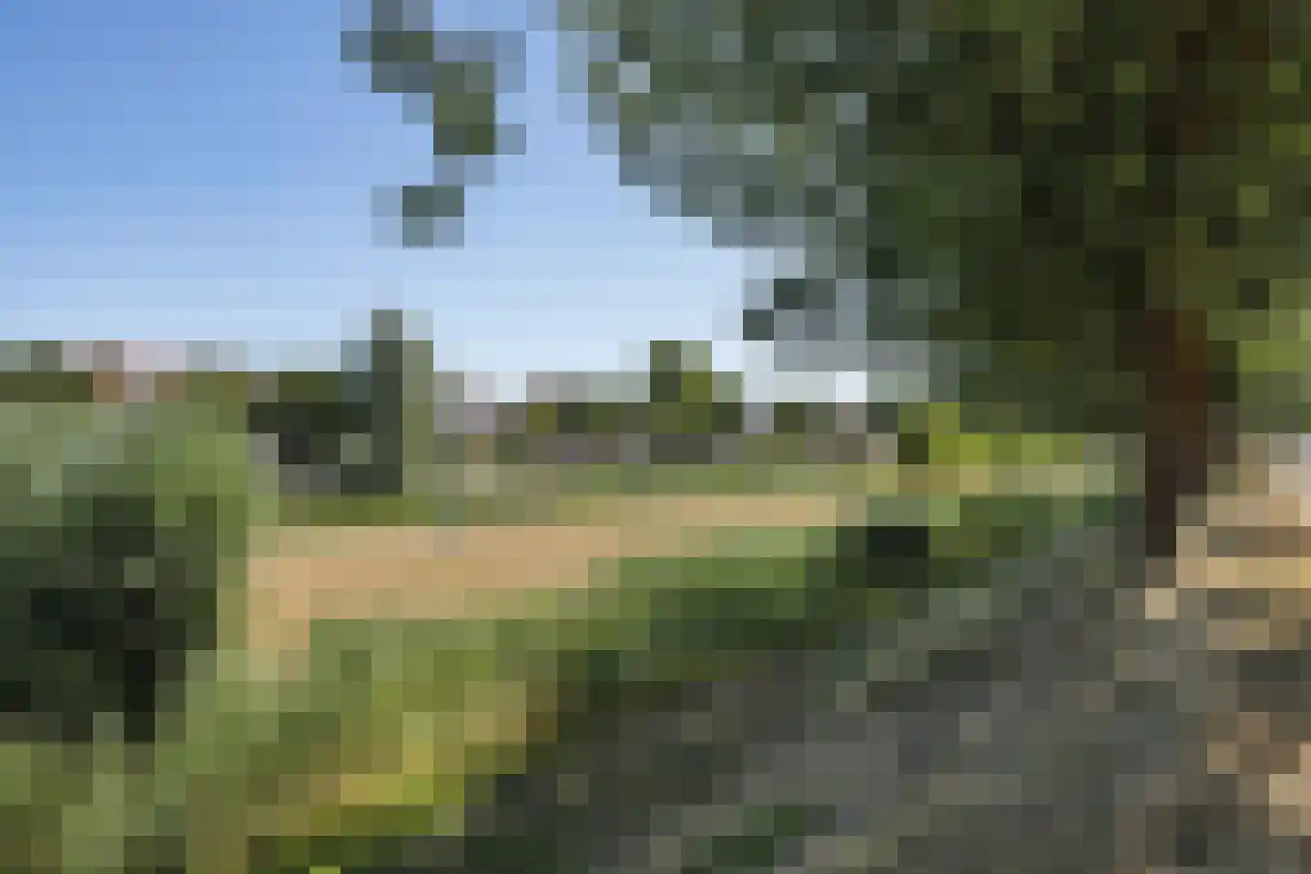 Neerwal 22 Helmond thumbnail 40