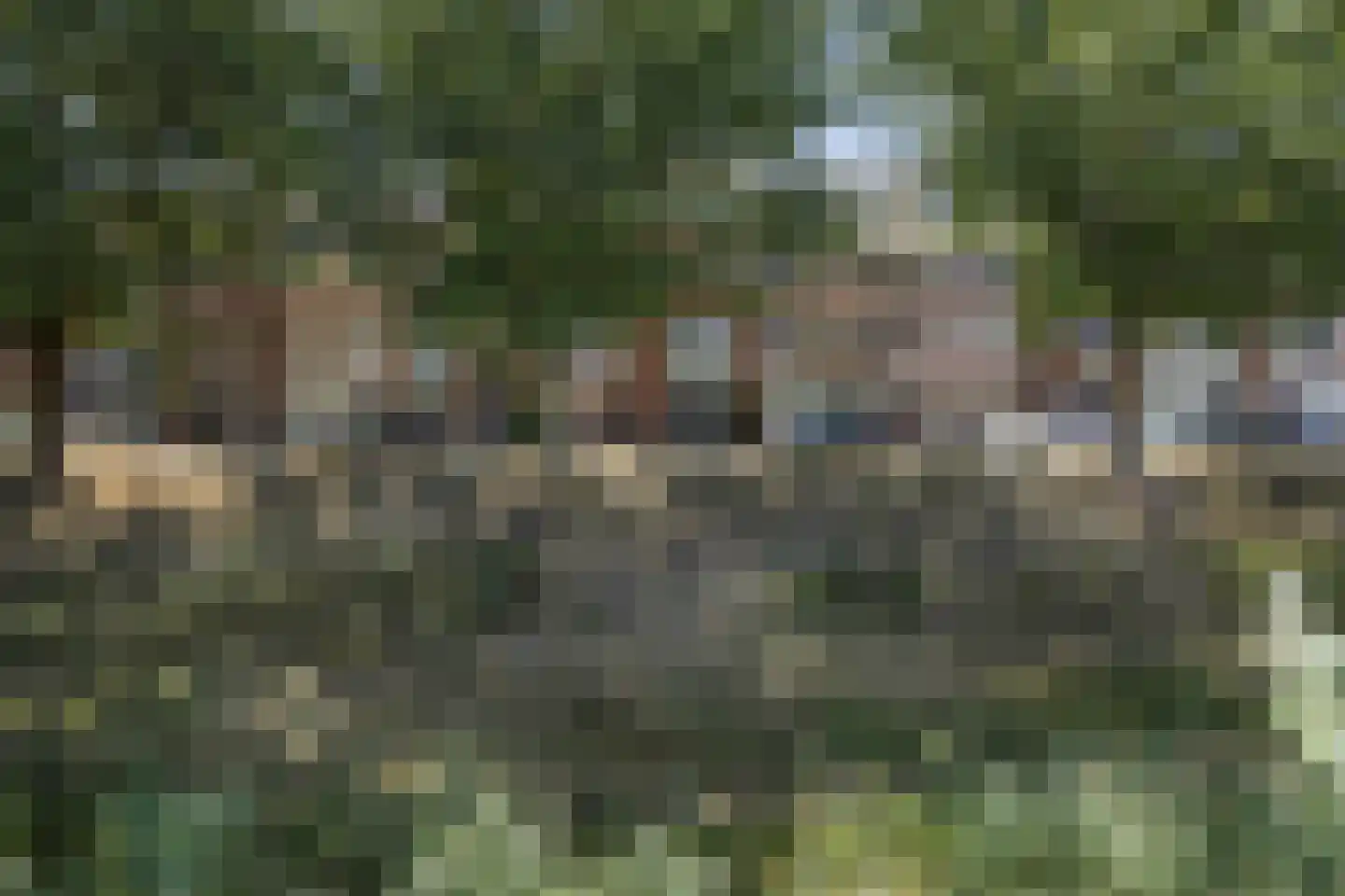 Neerwal 22 Helmond thumbnail 6