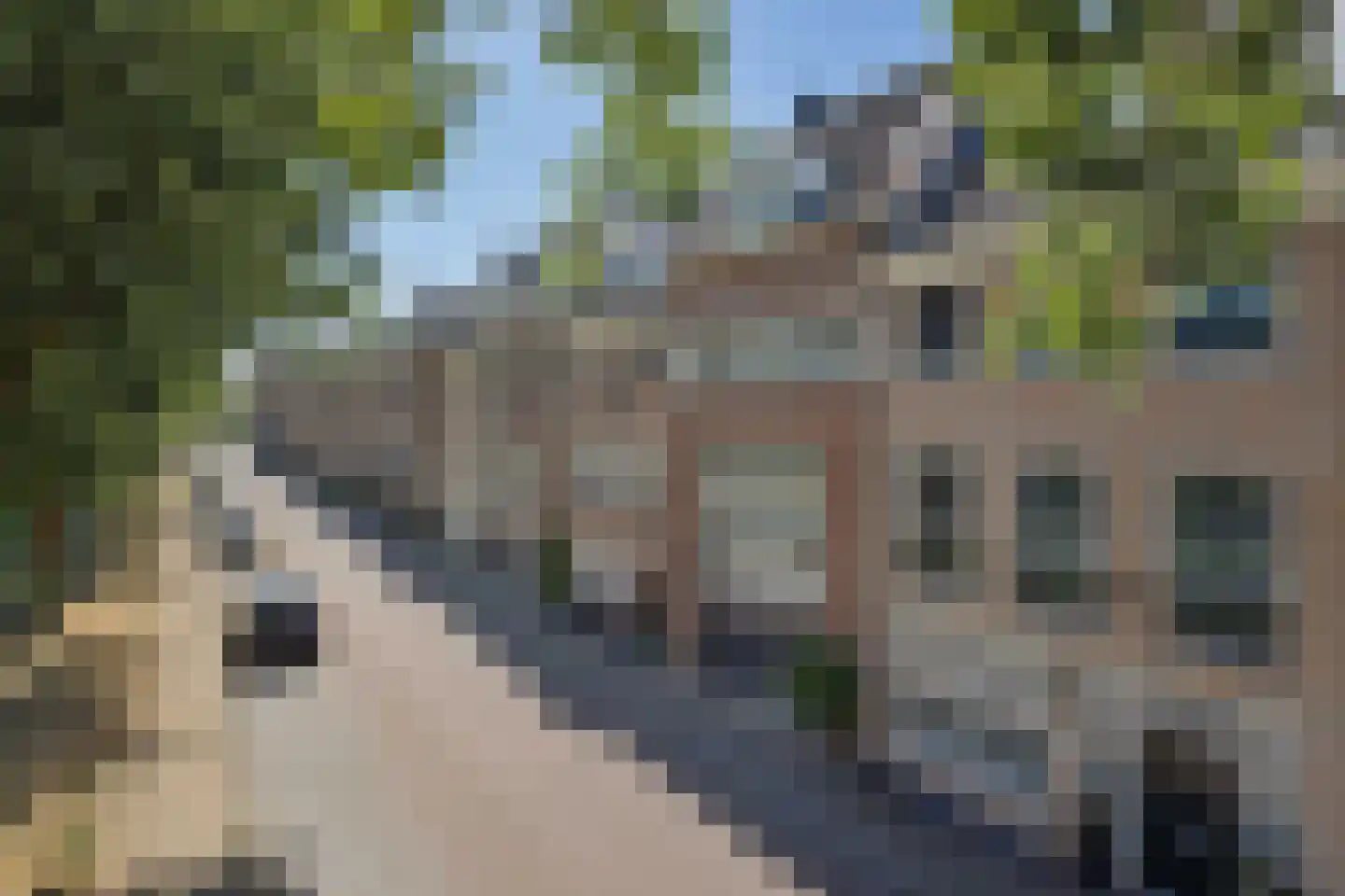 Neerwal 22 Helmond thumbnail 7