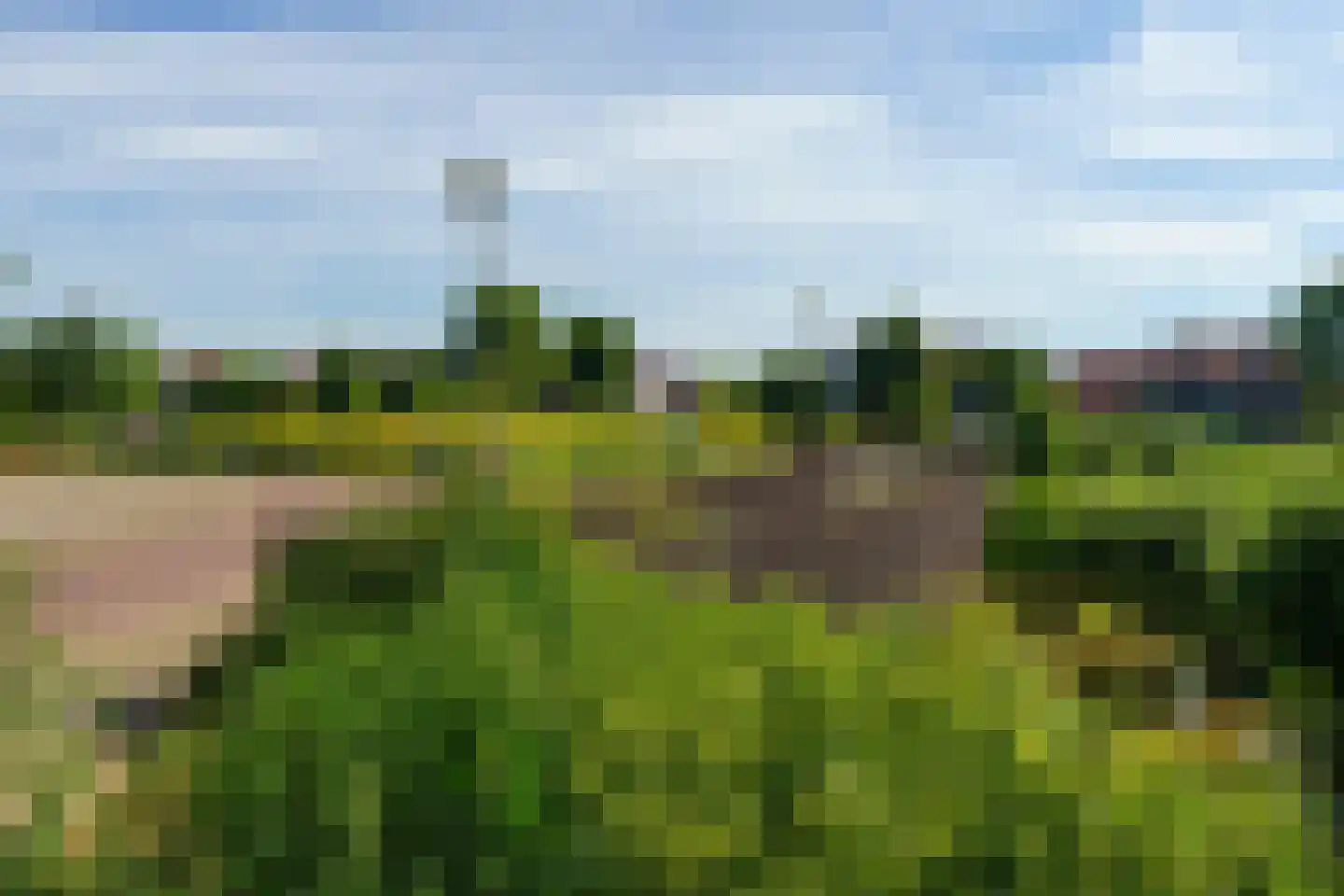 Neerwal 52 Helmond thumbnail 49