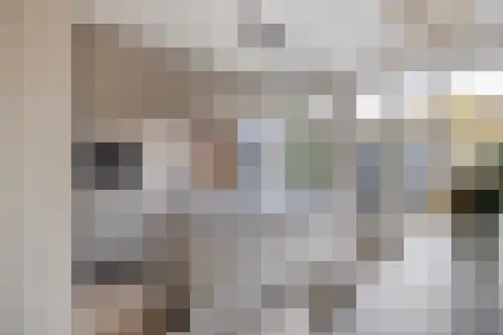 Neerwal 66 Helmond thumbnail 12