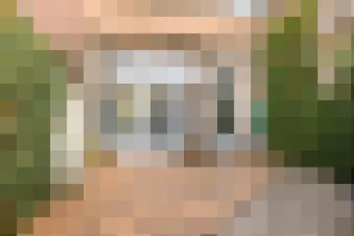 Neerwal 66 Helmond thumbnail 6