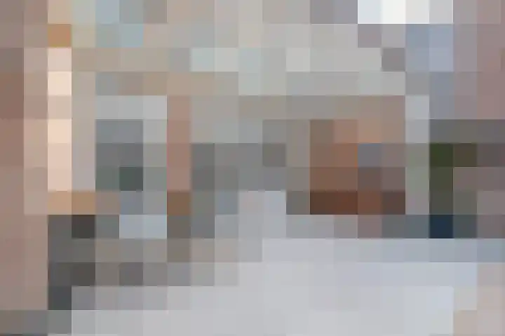 Neerwal 74 Helmond thumbnail 19